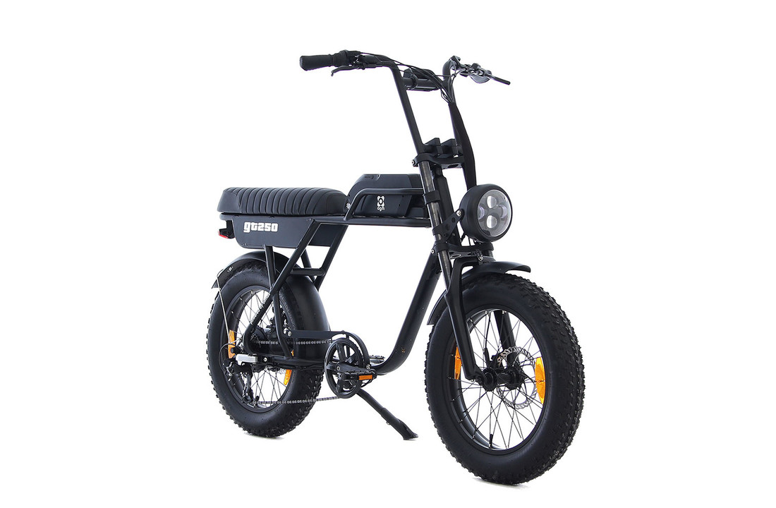 Fat Bike